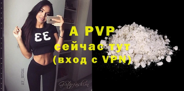 гидра Вяземский