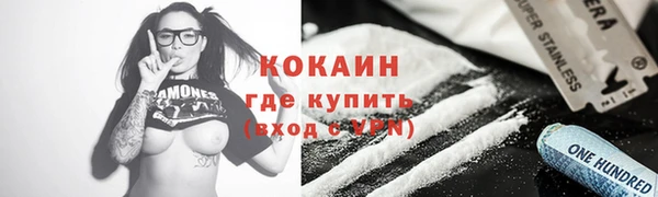 стафф Каменногорск