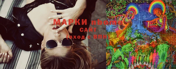 мдпв Заводоуковск